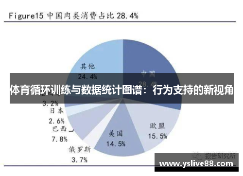 体育循环训练与数据统计图谱：行为支持的新视角